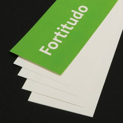 Fortitudo matt, 120 g/m²